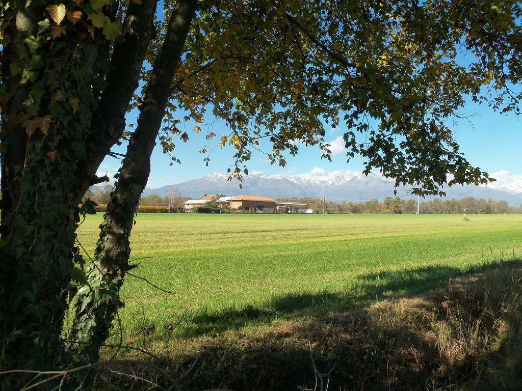 Fattoria Delle Rose Villa Salussola Dış mekan fotoğraf