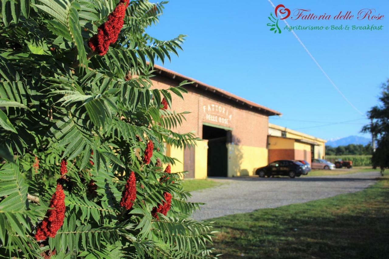 Fattoria Delle Rose Villa Salussola Dış mekan fotoğraf